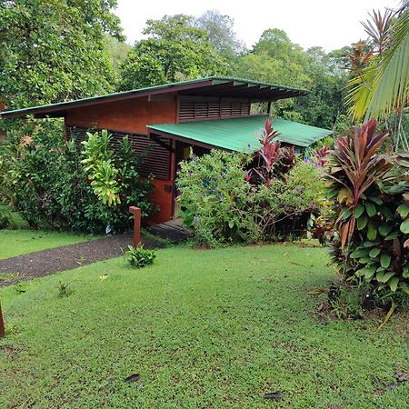 Hotel Finca Maresia Драке Экстерьер фото