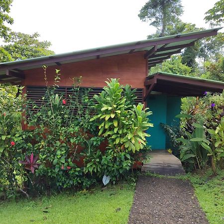 Hotel Finca Maresia Драке Экстерьер фото
