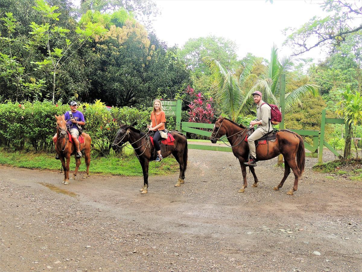 Hotel Finca Maresia Драке Экстерьер фото